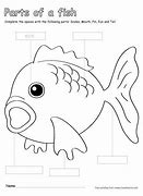 Image result for Fish Diagram for Kids