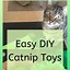 Image result for DIY Catnip Toys