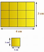 Image result for Area of Rectangle Example