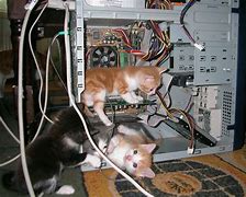 Image result for Cat Computer Case