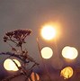 Image result for Different Types of Solar Power