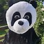 Image result for Panda Costume