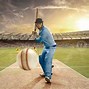 Image result for Cricket Light Background