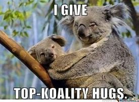 Image result for Animal Hug Meme
