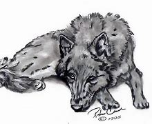 Image result for Lone Wolf Pencil Sketch
