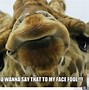 Image result for My Face When Meme