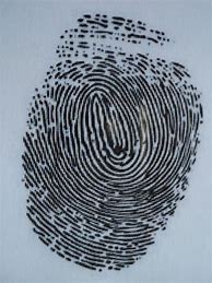 Image result for Harga Fingerprint Bekas