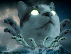 Image result for Scary God Cat