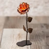 Image result for Rose Copper Metal