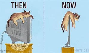 Image result for Life Now and Then