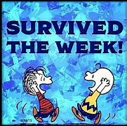 Image result for Survived the Week Funny Pic