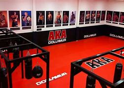 Image result for American Kickboxing