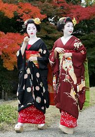 Image result for Japanese Geisha Kimono Dress