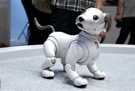 Image result for Aibo for Sale