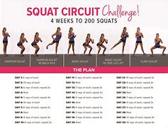 Image result for Squat Circuit Challenge