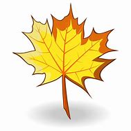 Image result for Maple Leaf Vector Clip Art