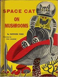 Image result for Space Cat Book