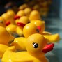 Image result for Funny Rubber Ducky