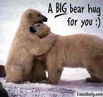 Image result for Funny Quotes About Hugs