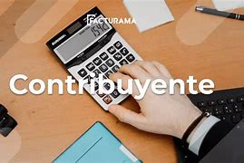 Image result for contribuyente