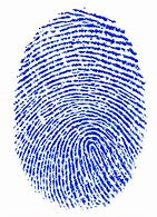Image result for Fingerprint Stock Image