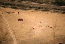 Image result for Giant African Cricket