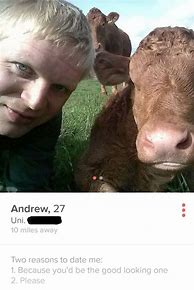 Image result for Funny Dating Profiles