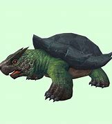 Image result for Turtle Pet WoW