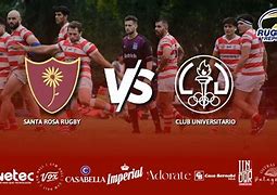Image result for Rosa Rugby (r)
