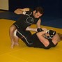 Image result for MMA Arm Bar