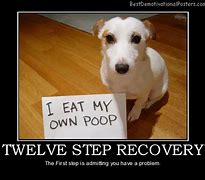 Image result for 12 Step Recovery Funny Memes