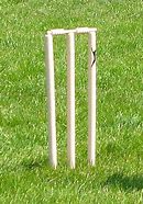 Image result for A Wicket