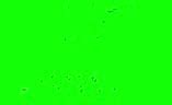 Image result for Fly Greenscreen