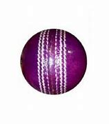 Image result for Cricket Aesthetic