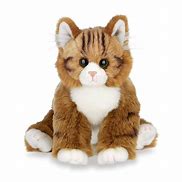 Image result for Stuffed Cat for Youth