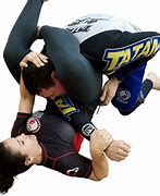 Image result for Muay Thai and Brazilian Jiu Jitsu
