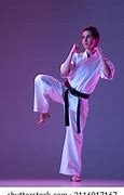 Image result for Martial Arts Fighting Styles