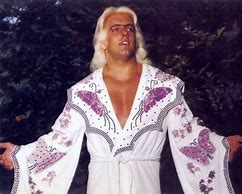 Image result for Ric Flair Young NWA