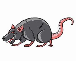 Image result for Evil Rat Clip Art