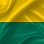 Image result for Suriname Flag
