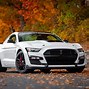 Image result for 2021 Ford Mustang