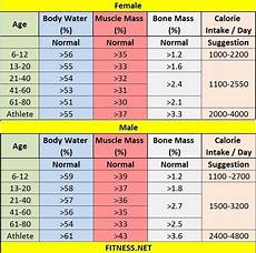 Pin On Bodybuilding