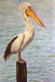 Image result for White Pelican Painting