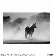 Image result for 3 Horses Cartoon
