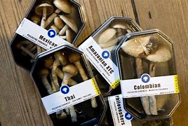 Image result for Legal Mushroom Packaging