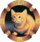 Image result for Mimsie The Cat Death
