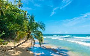 Image result for Tropical Beach Costa Rica