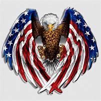 Image result for American Flag and Eagle Decal