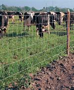 Image result for Field Fence