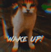 Image result for Cat Just Woke Up Meme